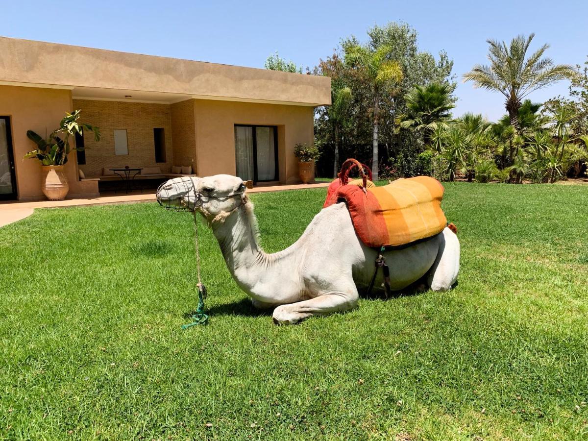 Marrakech Retreat Hotell Srarhna Eksteriør bilde
